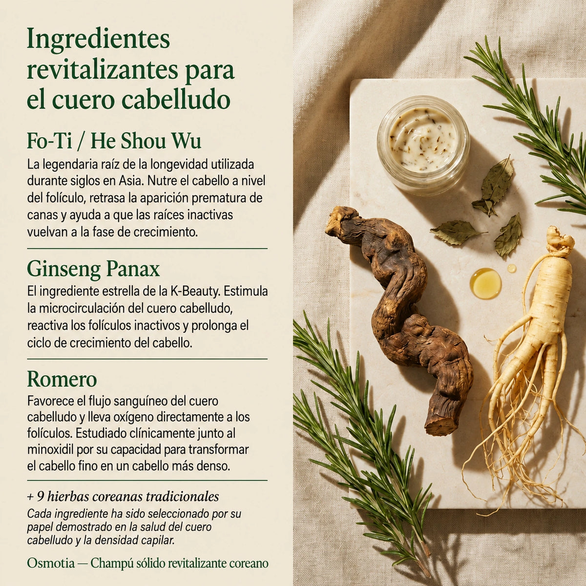 Champú sólido coreano revitalizante para el cuero cabelludo